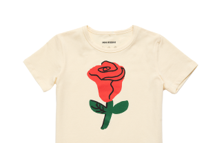  Toddler (1-3 years)